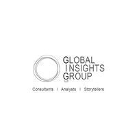 Global Insights Group, LLC logo - Similar company to Php Scripts Mall Private Limited