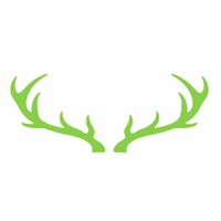 Black Forest Studios logo - Similar company to Video Technics, Inc.