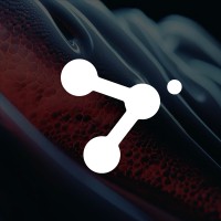 Neural AI logo - Similar company to Whitespace.Mt