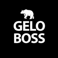 Gelo Boss logo - Similar company to Agência Estadual De Gestão De Empreendimentos - Agesul