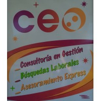 Ceo Consultora logo - Similar company to Ceo.Com Sac