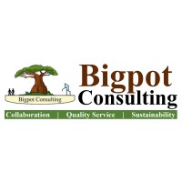 Bigpot Consulting MW logo - Similar company to Mthunzi Consulting