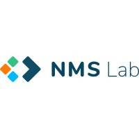 NEOMETSYS logo - Similar company to Aeronus (Design Build Fly)