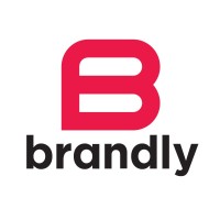 Brandly logo - Similar company to Opentech Group Solutions