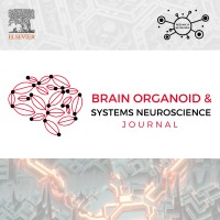 Brain Organoid & Systems Neuroscience Journal logo - Similar company to Neurohub