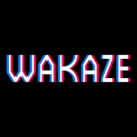 WAKAZE logo - Similar company to Sakeone