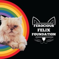 Ferocious Felix Foundation logo - Similar company to Catspace Boarding®