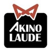 AKINOLAUDE logo - Similar company to Awayawear