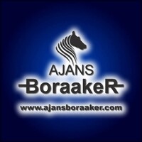 Ajans BoraakeR logo - Similar company to Hostdost