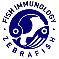Feijoo Lab logo - Similar company to Farmaexpo