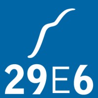 29E6 logo - Similar company to Wible Engineering