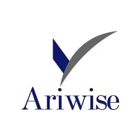 Ariwise logo - Similar company to Ari Consulting Group