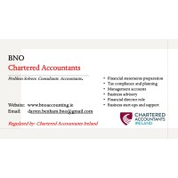 BNO Chartered Accountants logo - Similar company to Ryan & Crowley
