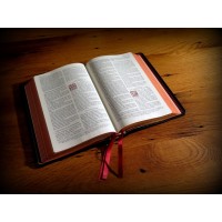 evangelicalbible.com logo - Similar company to 2K/Denmark