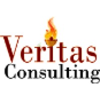 Veritas Consulting SA logo - Similar company to Britz Consulting