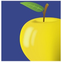 Round Lake Area Schools CUSD 116 logo - Similar company to Modern Media Tech