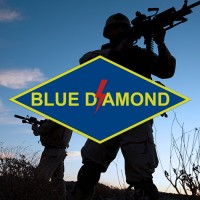 Blue Diamond Consulting, LLC logo - Similar company to Elytics