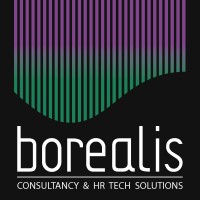 Borealis Consulting logo - Similar company to Rcisd