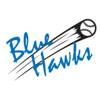 HSV Blue Hawks logo - Similar company to Zltb