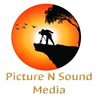 PICTURE N SOUND MEDIA logo - Similar company to Logfire.Ai