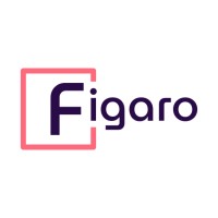Figaro Solutions logo - Similar company to Eximo Project Sp. Z O.O.