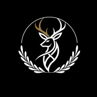 Vidcor logo - Similar company to Trash Panda Consulting
