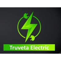 Truveta Electric Energy Pvt. Ltd logo - Similar company to Prithvi Connect