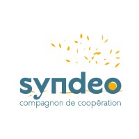 Syndeo logo - Similar company to Bertcord