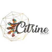 Citrine Group logo - Similar company to Seva Ehs