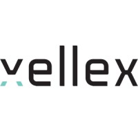 Vellex logo - Similar company to Workforce Extensions | Nepean