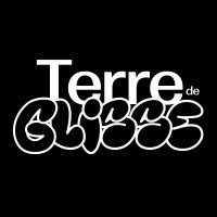 TERRE DE GLISSE logo - Similar company to Bts Ndrc Benjamin Franklin Auray