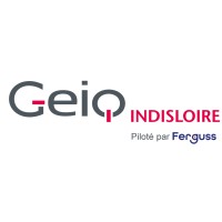 GEIQ INDIS LOIRE I Groupement d'Employeurs pour l'Insertion & la Qualification logo - Similar company to Un Temps Pour Réussir
