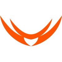 Volantis Semiconductor logo - Similar company to Argus Systems