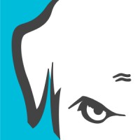 MadDog Professional Services logo - Similar company to Resolute Building Intelligence