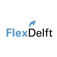 FlexDelft logo - Similar company to Dsz Wave