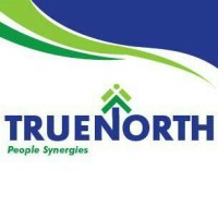 True North Consult Limited logo - Similar company to Nft Consult