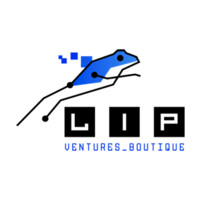 LIP Ventures Boutique logo - Similar company to Voysys Ab