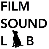 FSL Post Production GmbH logo - Similar company to De Falcon 8D & Asmr