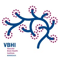 VBHI logo - Similar company to Spice Solutions