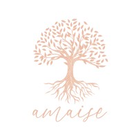 AmaisE logo - Similar company to Head Chef Network