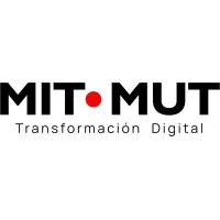 Mit Mut logo - Similar company to Vidisy