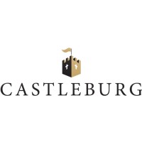 Castleburg Construction Ltd logo - Similar company to Elda Construction Consultants