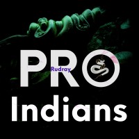 ProIndians logo - Similar company to Becruiter