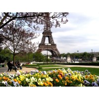 Travelwyn.com logo - Similar company to Dream Vacations - Lainey Melnick & Associates