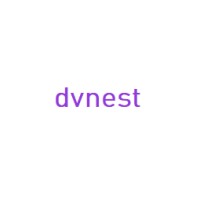 dvnest logo - Similar company to Doce Moliceiro - Riaburguer