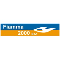 FIAMMA 2000 SPA logo - Similar company to Ab Energie