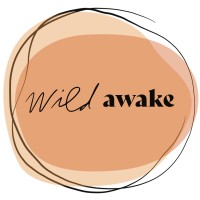 Wild Awake logo - Similar company to Borealis