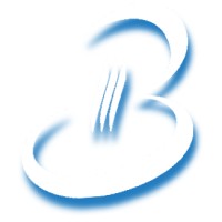 BDI System SA logo - Similar company to Avinci Sa