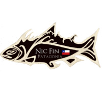 Nic Fin Patagonia logo - Similar company to Tedxbreckenridge