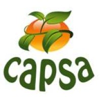 CAPSA MARCA S.L. logo - Similar company to Pan African Commodity Ltd
